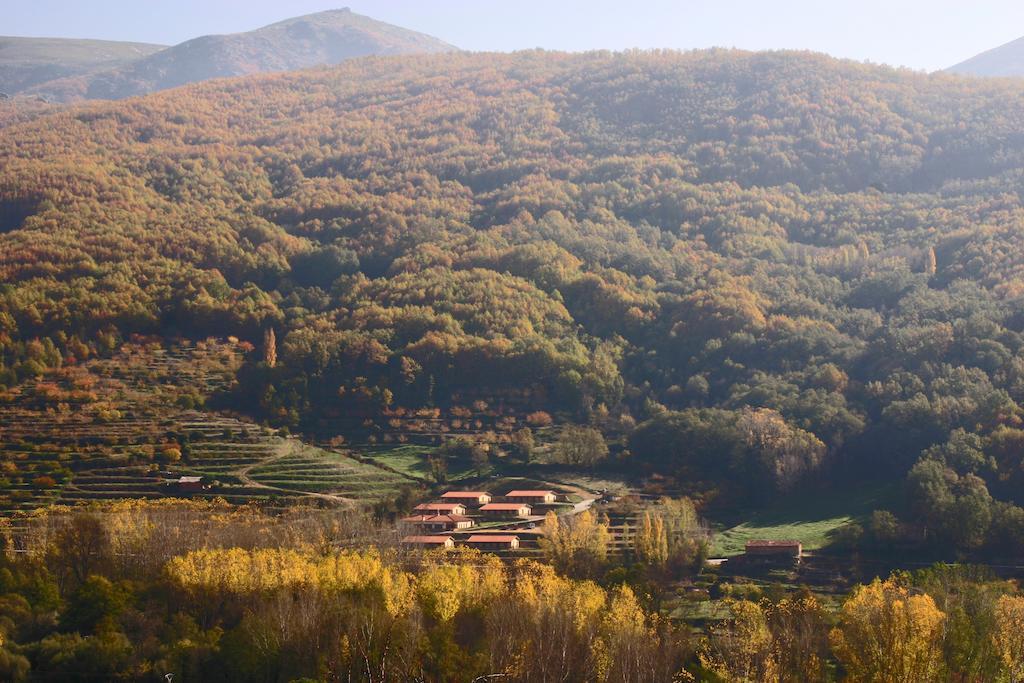 Apartamentos Rurales La Vega Del 젤티 외부 사진